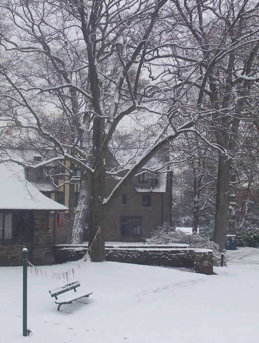 First Snow at Sarah Lawrence
