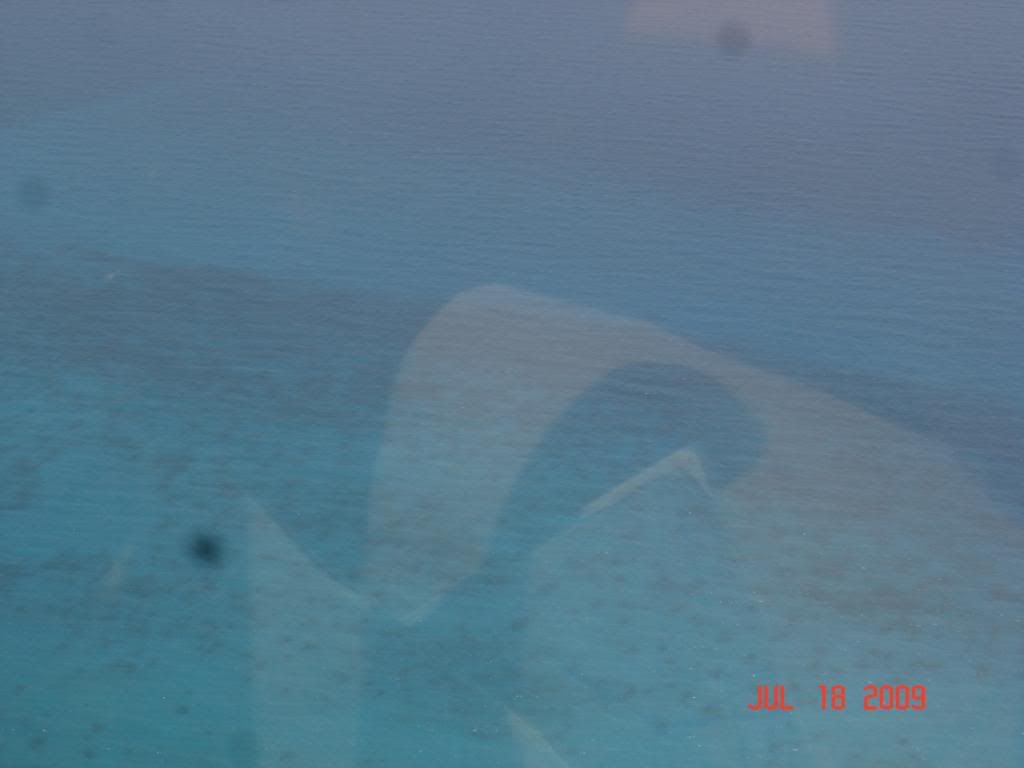 DSC02323.jpg