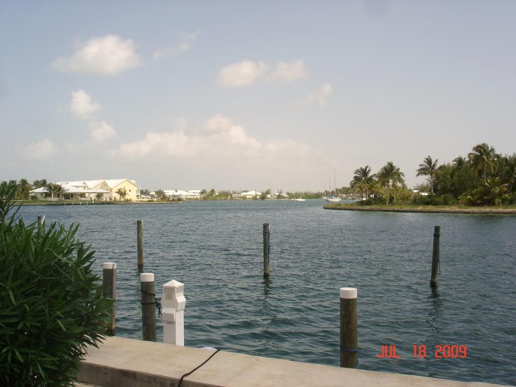 DSC02335.jpg