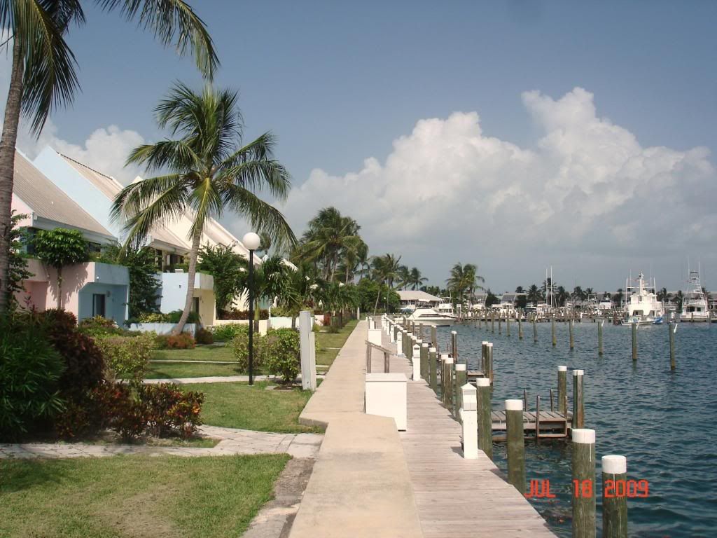 DSC02340.jpg