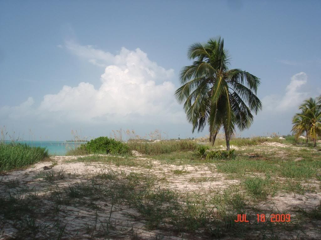 DSC02345.jpg