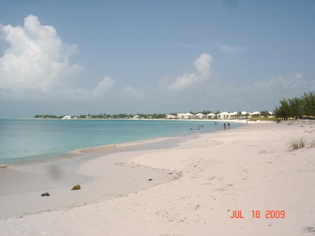 DSC02352.jpg