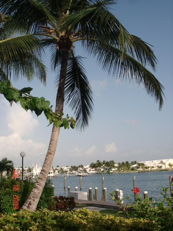 DSC02388.jpg