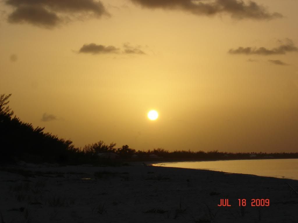 DSC02475.jpg