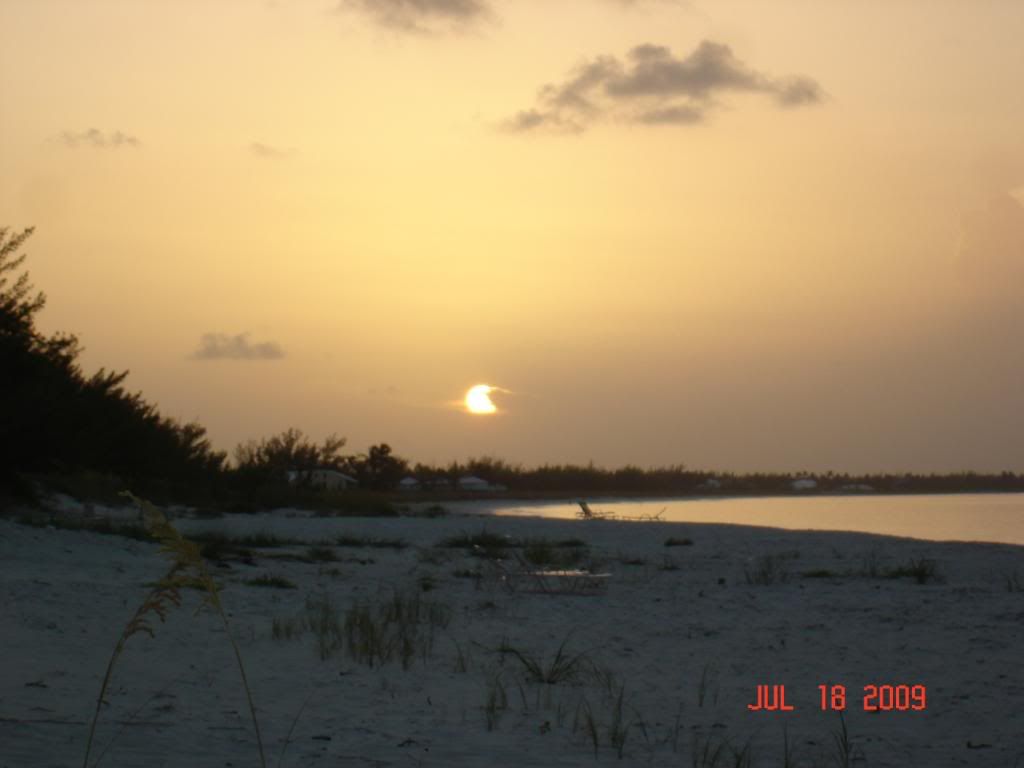DSC02487.jpg