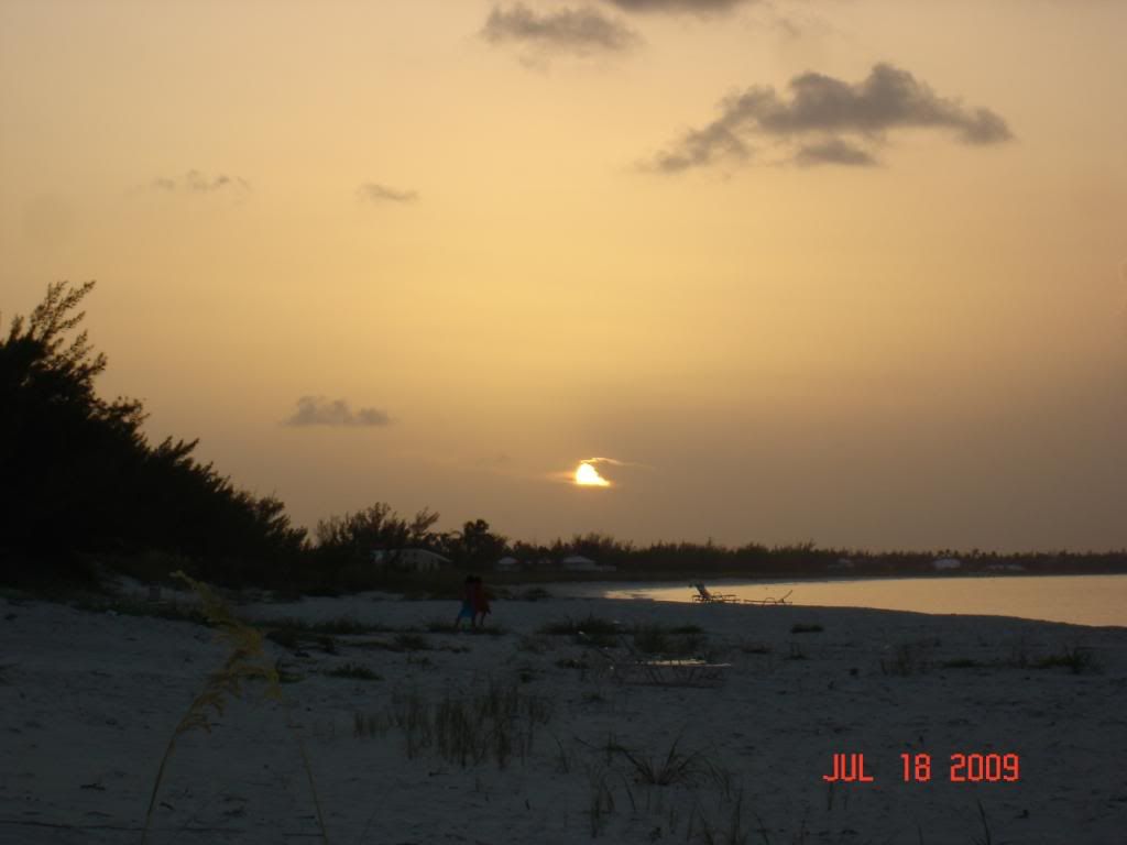 DSC02488.jpg
