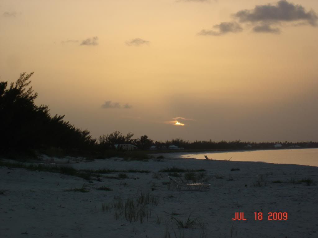 DSC02489.jpg
