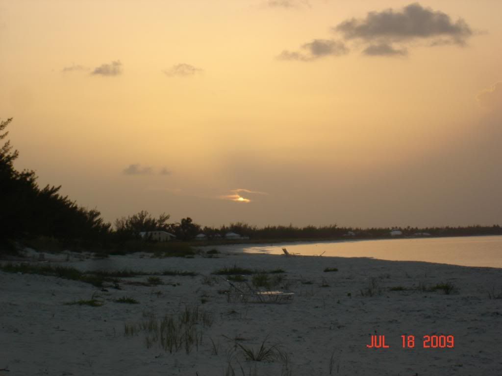 DSC02490.jpg