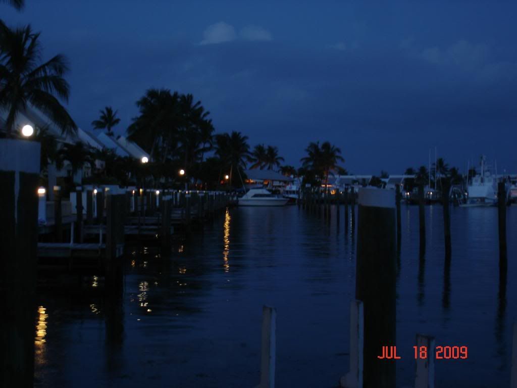 DSC02500.jpg