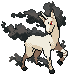 1Rapidash.png