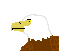 BaldEagle-1.png