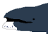 BowheadWhale.png