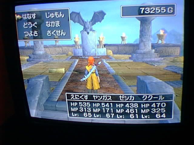 http://i15.photobucket.com/albums/a387/NeoTsubasa/DQ8-001.jpg