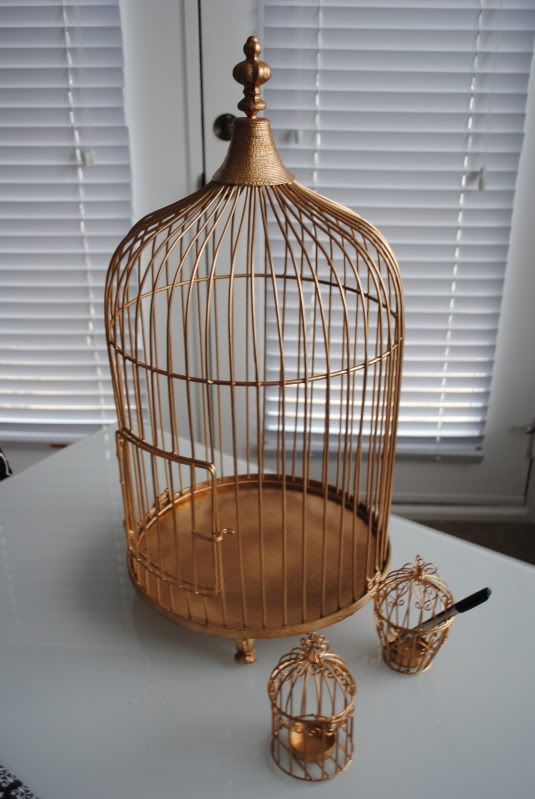 DSC_0038.jpg picture by nabi321