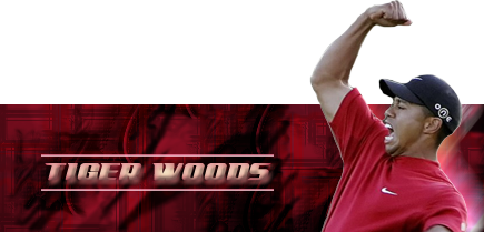 zzzwoods.png