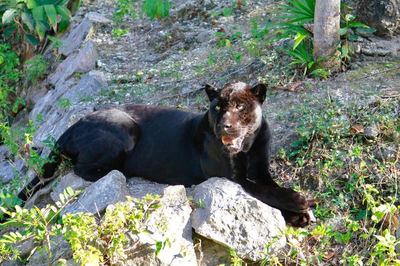 IMAGE: http://i15.photobucket.com/albums/a388/DAMHO/3A4C210D-68F8-4043-BF5D-D3929F4885B4.jpg