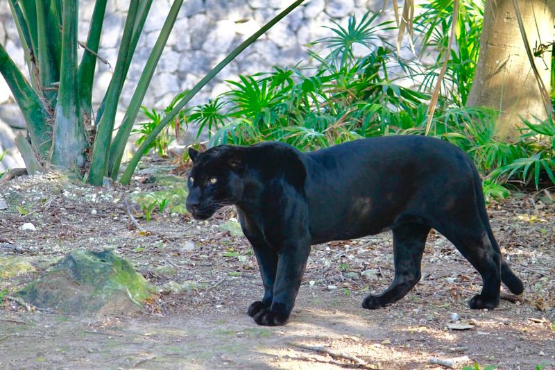 IMAGE: http://i15.photobucket.com/albums/a388/DAMHO/3E0005E2-AC67-4CC7-BA1D-8B73979513BC.jpg