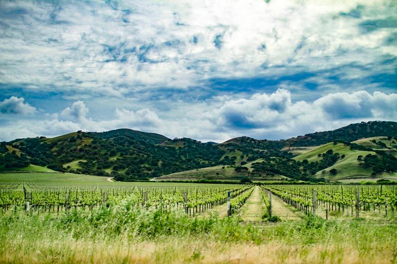 IMAGE: http://i15.photobucket.com/albums/a388/DAMHO/76E488B8-0586-49B6-B5EF-13B29A3A0EEA.jpg