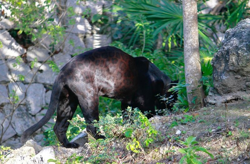 IMAGE: http://i15.photobucket.com/albums/a388/DAMHO/B7A0A6E7-E604-417A-9F88-96C67EE7ADE9.jpg