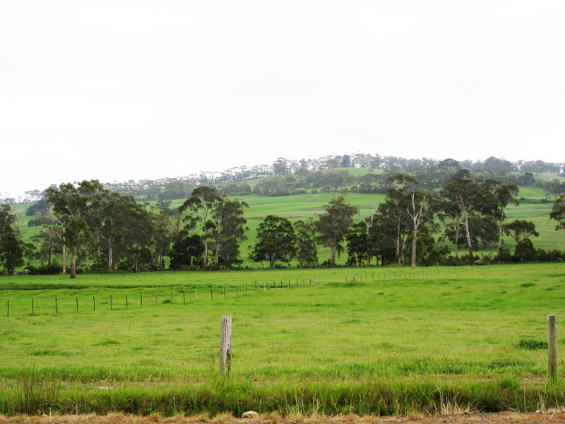 photo greenhills1.png