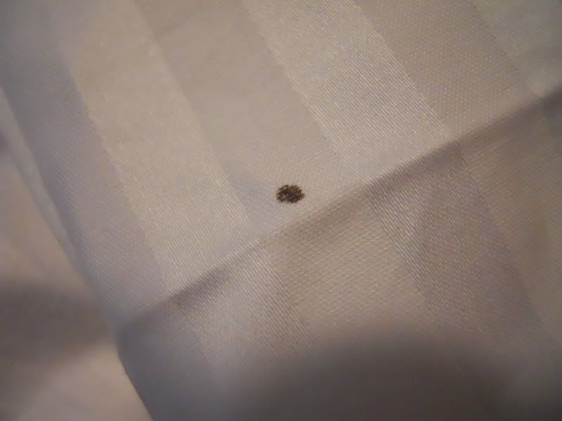 ... & unsure- is this a bedbug stain? Â« Got Bed Bugs? Bedbugger Forums
