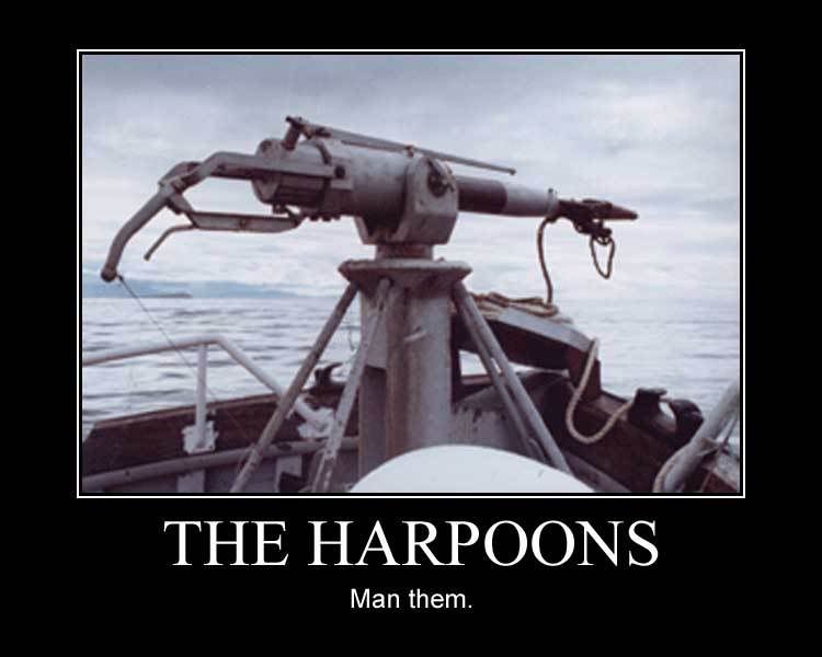 harpoon1.jpg