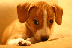 ugh2.gif image by Tuyashi