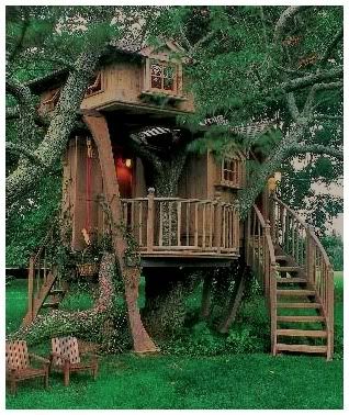 Tree House Elevator