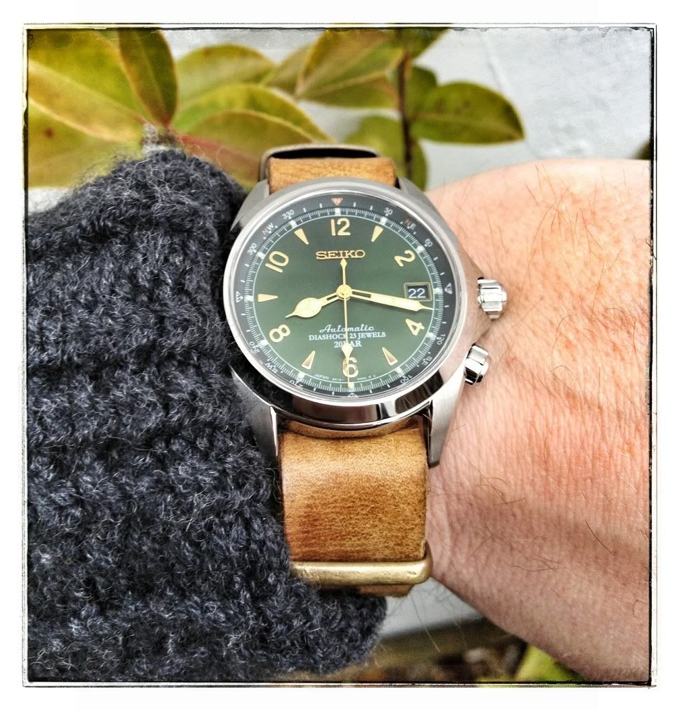 seiko men's sarb017