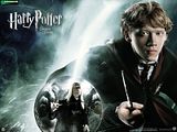 Wallpaper PT Harry Potter e a Ordem da Fénix