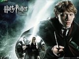 Wallpaper Harry Potter and the Order of the Phoenix