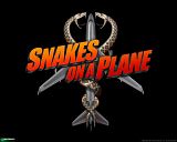 Snakes on a Plane