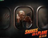 Snakes on a Plane