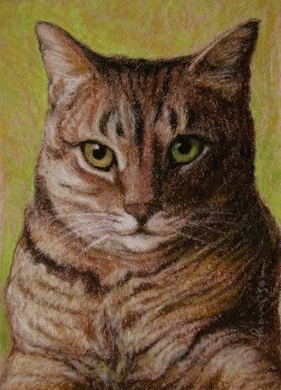 Ziggy the Cat