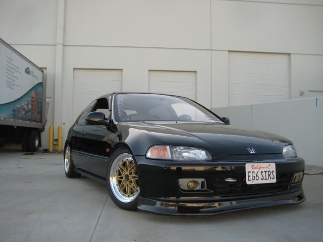 [Image: Picture857.jpg]