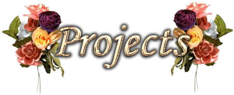 jess_projects_1b.gif