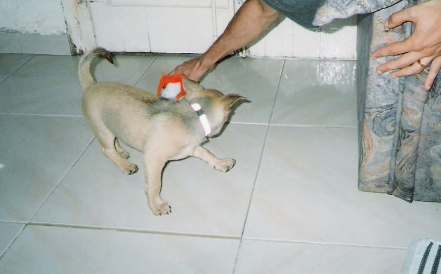 Imagem
