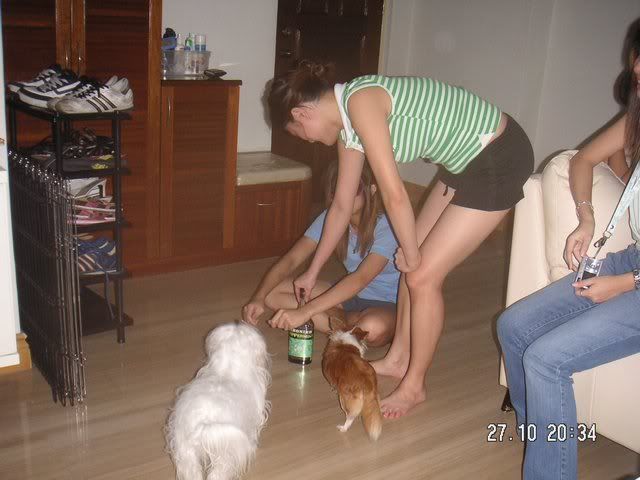 Image hosted by Photobucket.com