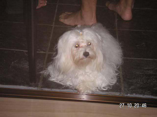 Image hosted by Photobucket.com