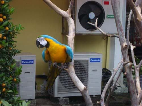 Photo Sharing and Video Hosting at Photobucket