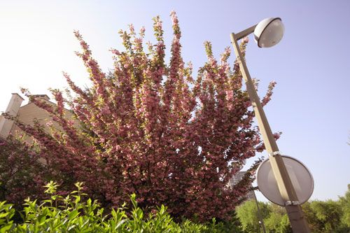 Photobucket - Video and Image Hosting