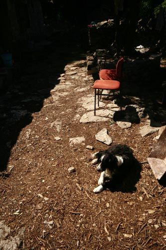 Photobucket - Video and Image Hosting