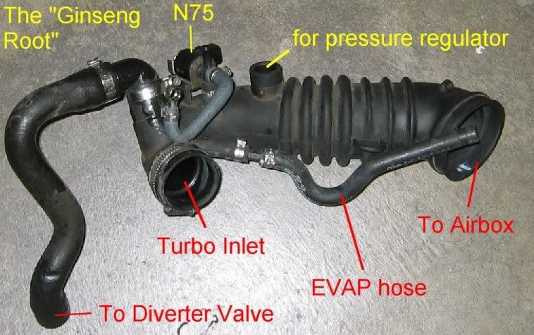 VWVortex.com - N75 valve question