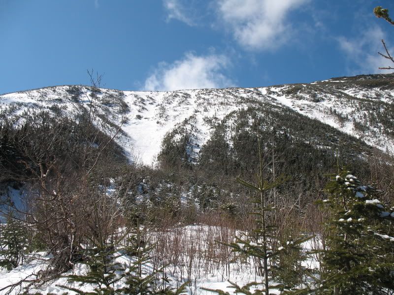 IMG_2073.jpg