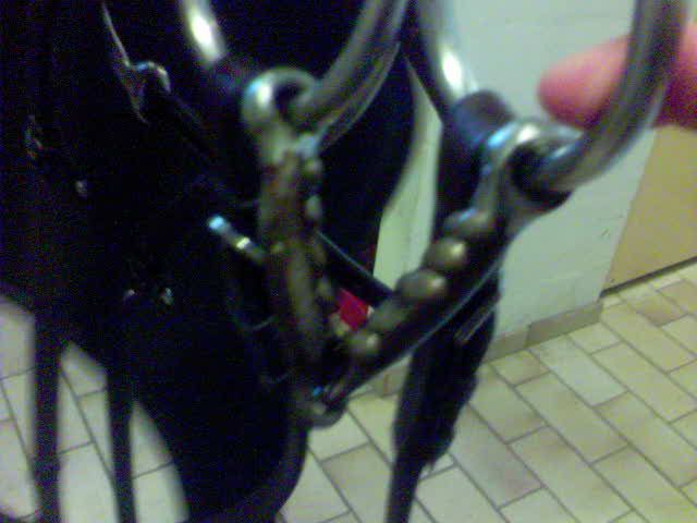 DSC01316.jpg
