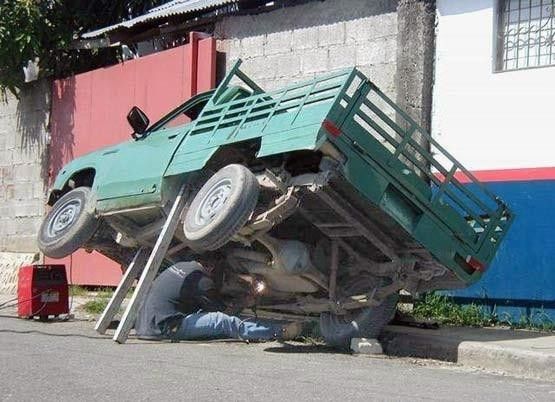stupidhumantrick.jpg