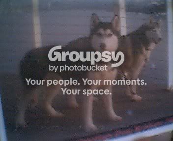 User Image