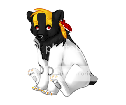 User Image