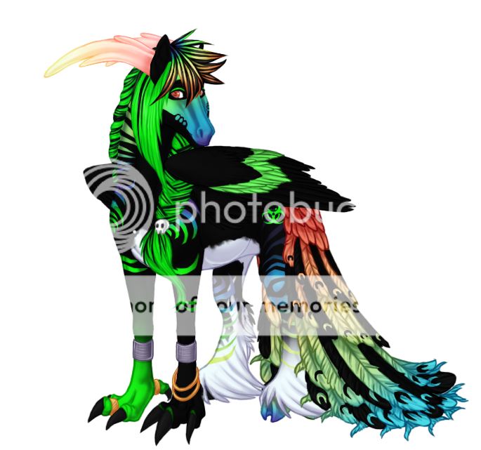 User Image