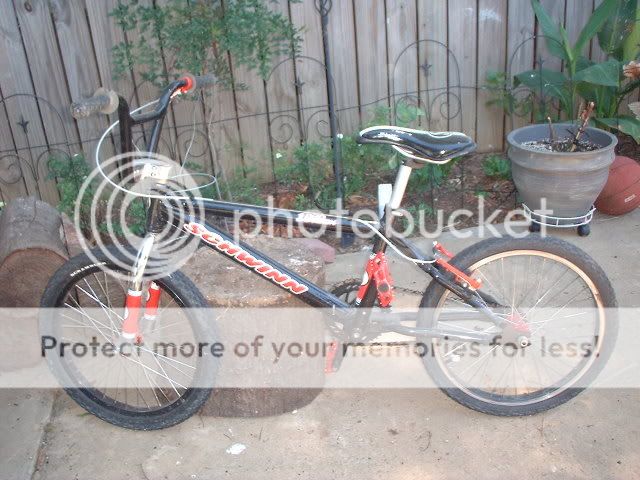 schwinn 240 dsx